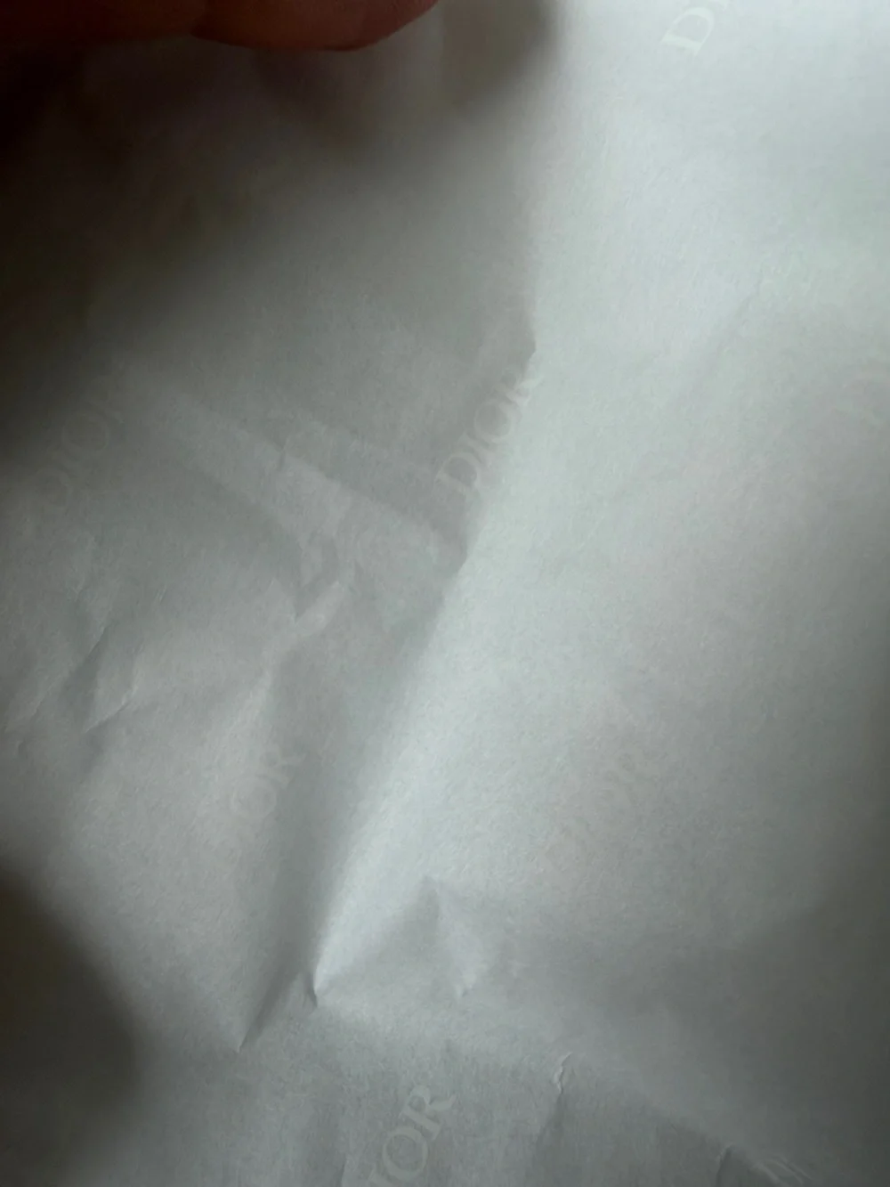 Dior Bag w Tissue Paper